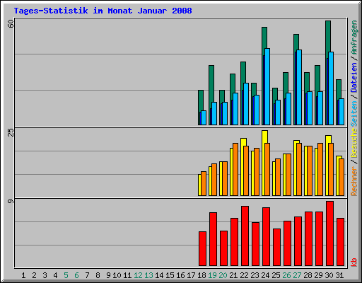 Tages-Statistik im Monat Januar 2008