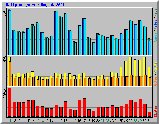 Daily usage for August 2021