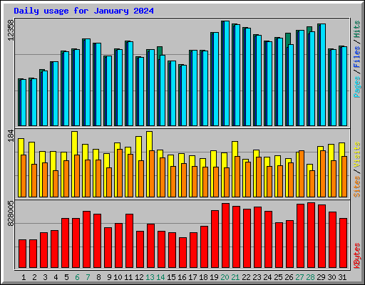 Daily usage for January 2024