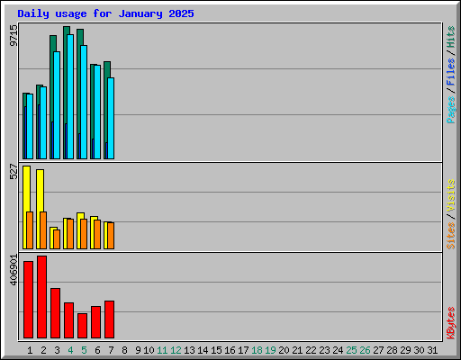 Daily usage for January 2025