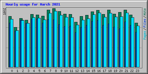 Hourly usage for March 2021