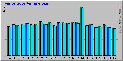 Hourly usage for June 2021