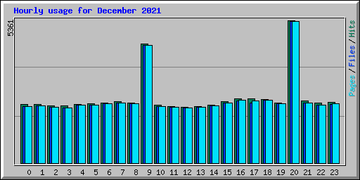 Hourly usage for December 2021