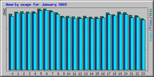 Hourly usage for January 2022