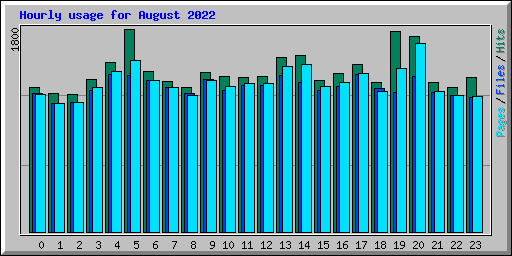Hourly usage for August 2022