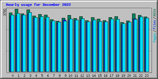 Hourly usage for December 2022