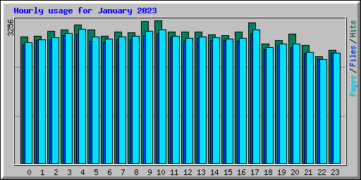 Hourly usage for January 2023