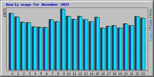 Hourly usage for November 2023