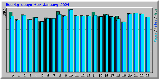 Hourly usage for January 2024