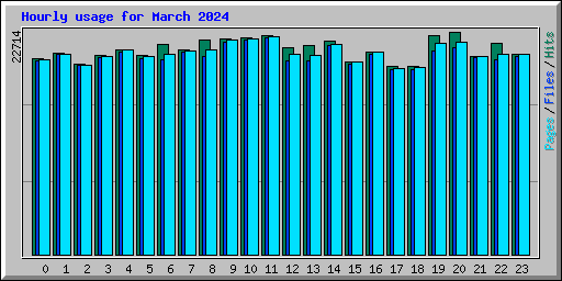 Hourly usage for March 2024