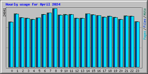 Hourly usage for April 2024