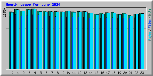Hourly usage for June 2024