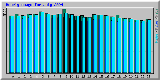 Hourly usage for July 2024