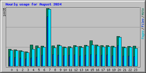 Hourly usage for August 2024