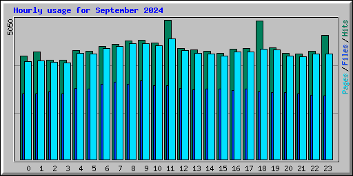 Hourly usage for September 2024