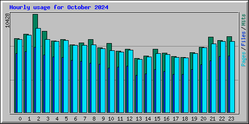 Hourly usage for October 2024