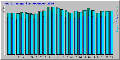 Hourly usage for November 2024