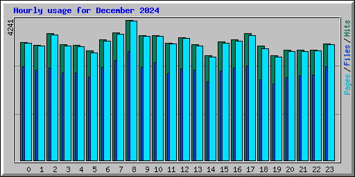 Hourly usage for December 2024
