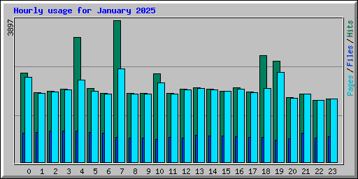 Hourly usage for January 2025